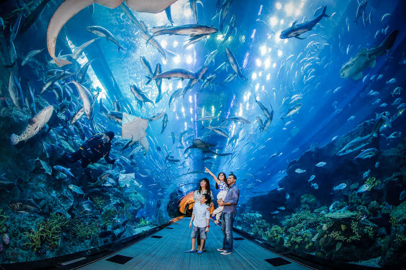 dubai aquarium and underwater zoo