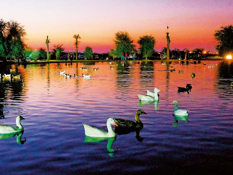 Beautiful sun set view of al qudra lake